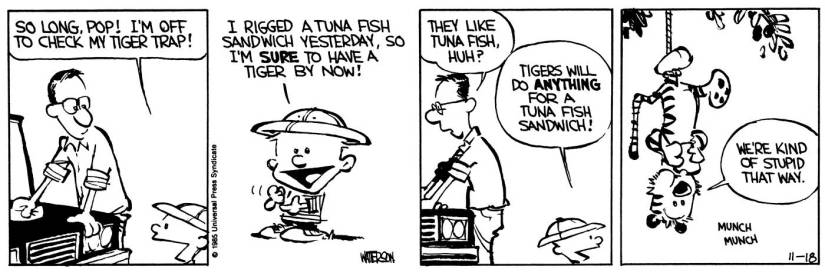 Calvin ve Hobbes'un Vedası: 31 Yıl Sonra Hâlâ Mükemmel Bir Veda