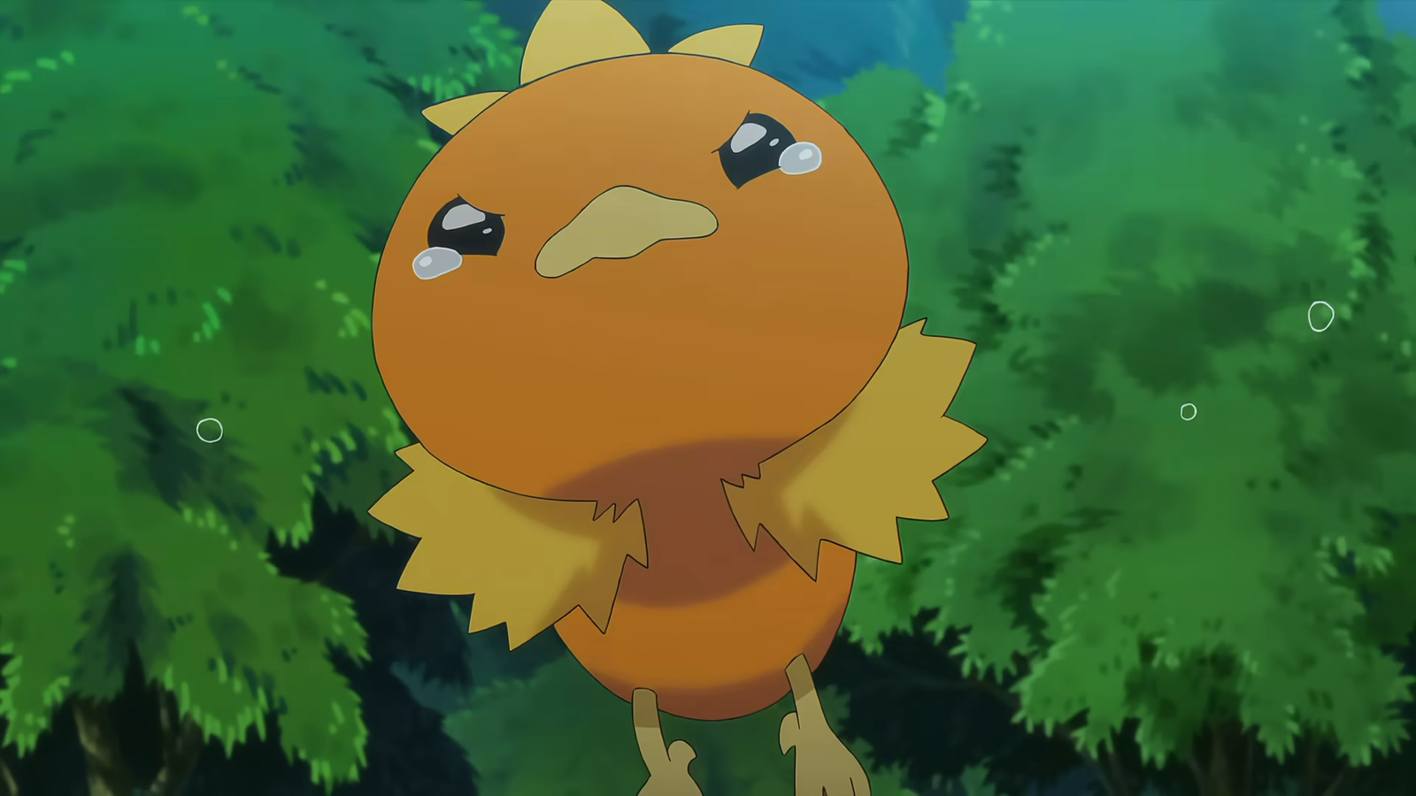 Pokémon Kartı Torchic, 1.3 Milyon Dolarlık Teklifle Rekor Kırmak Üzere