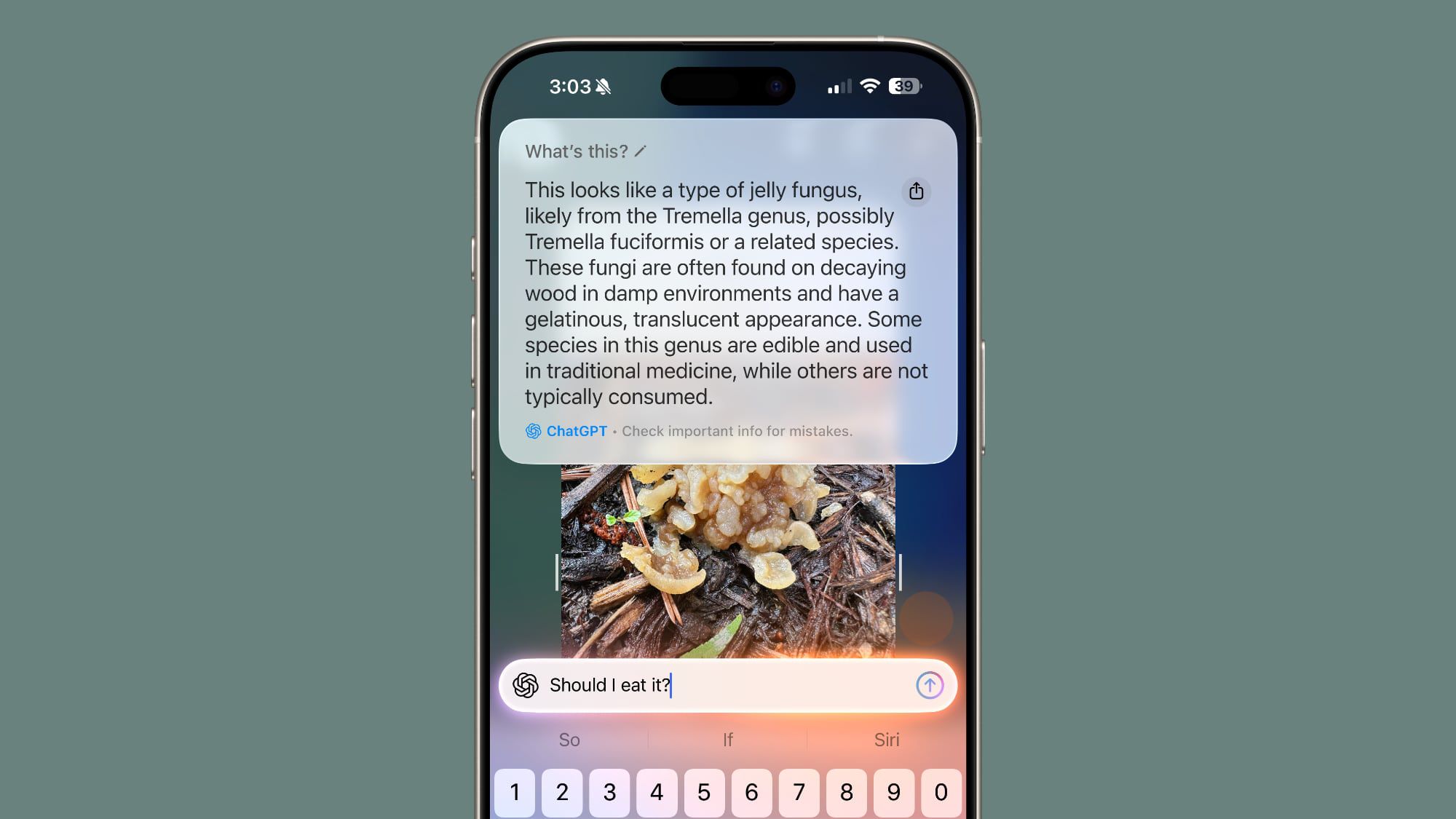 Apple'dan Yeni Hamle: Visual Intelligence'a Reklam mı Geliyor?