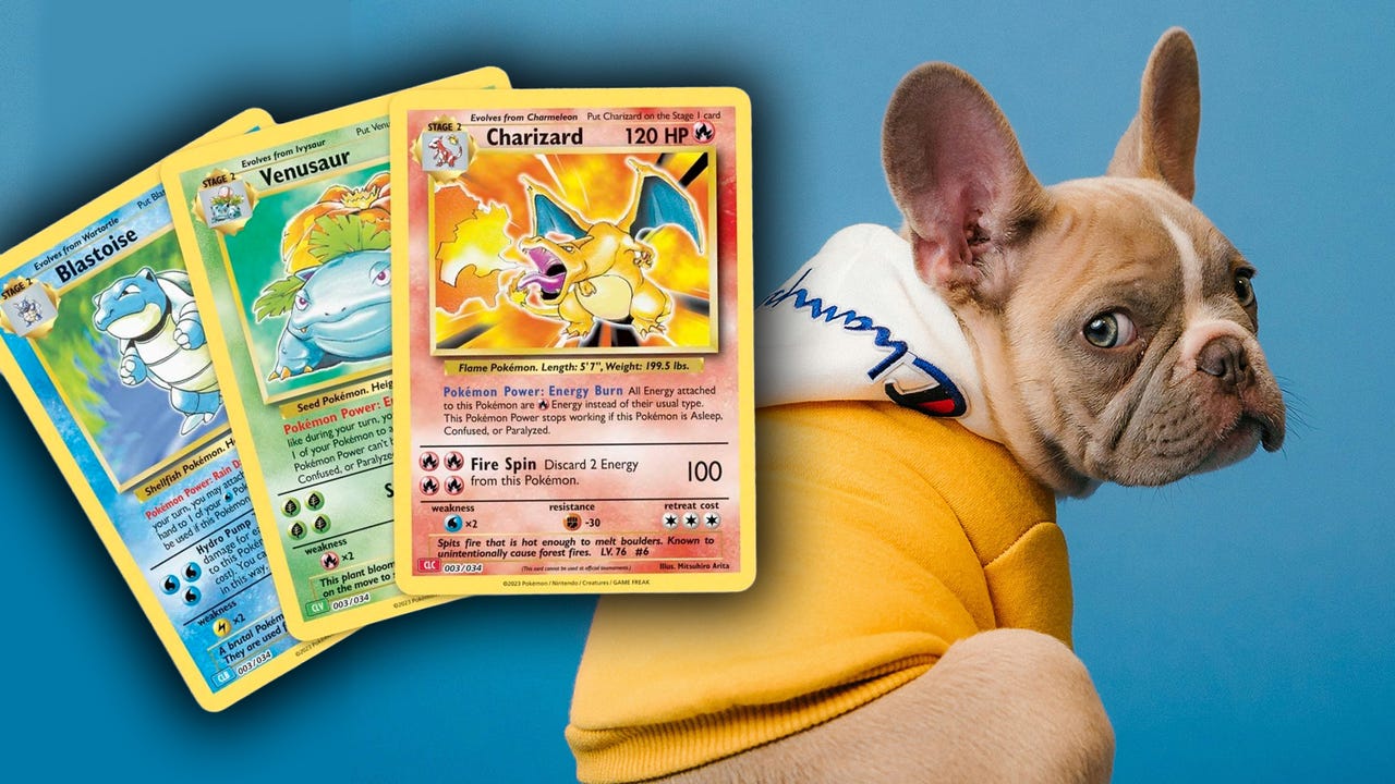 Köpek Yetiştiricileri Pokémon Kartı Karşılığında Yavru Sunuyor