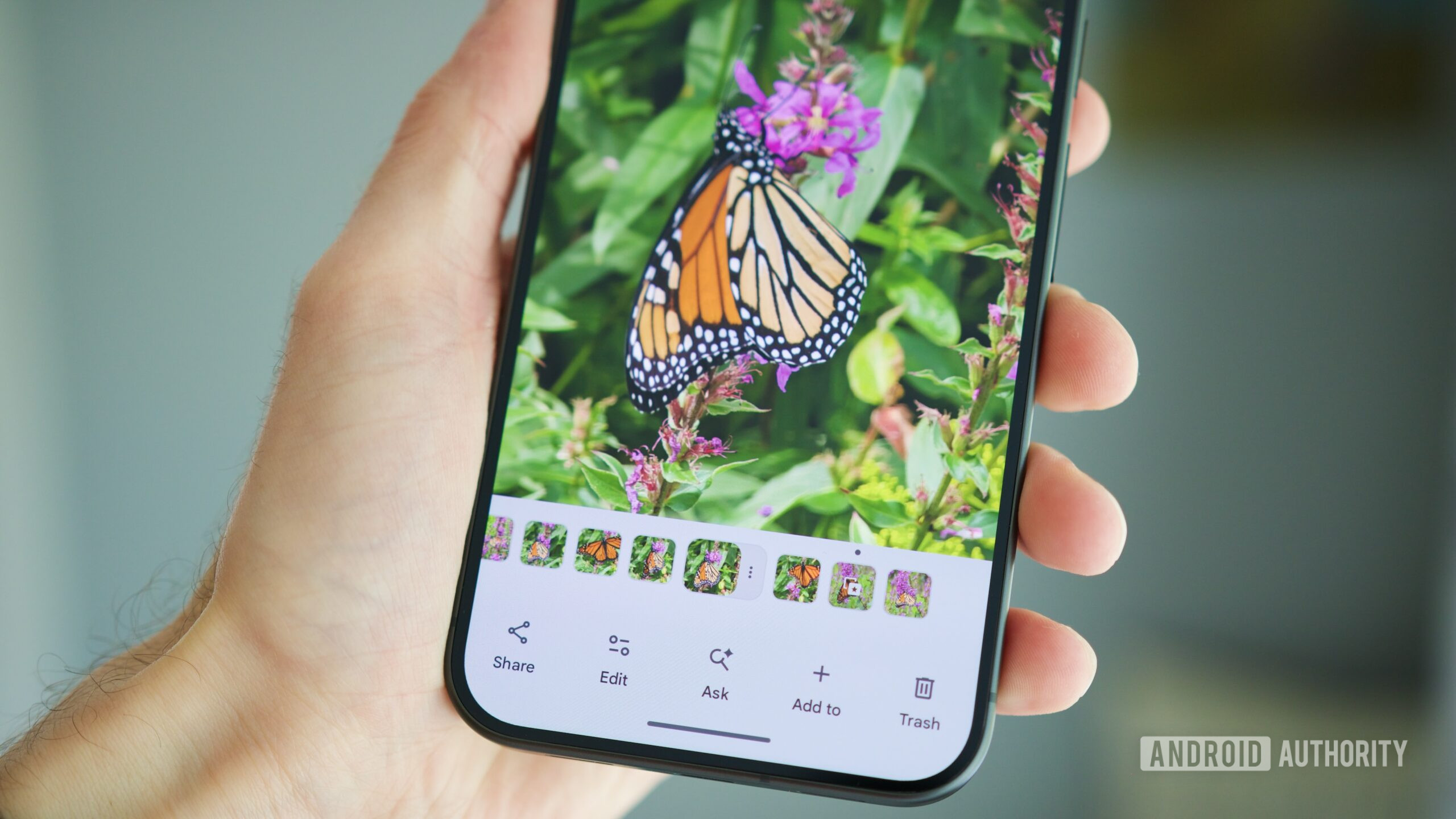 Google Photos'a Android'de yıllardır beklenen özellik geldi: Manuel fotoğraf yığınlama