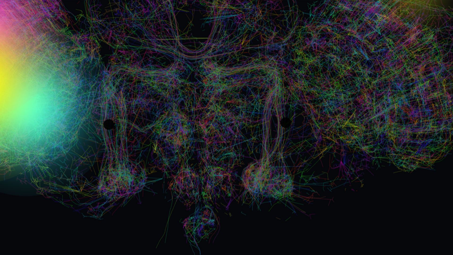 Google's simulated fruit fly brain 'mines Bitcoin' in web browser proof of concept — FutureBit says real organ