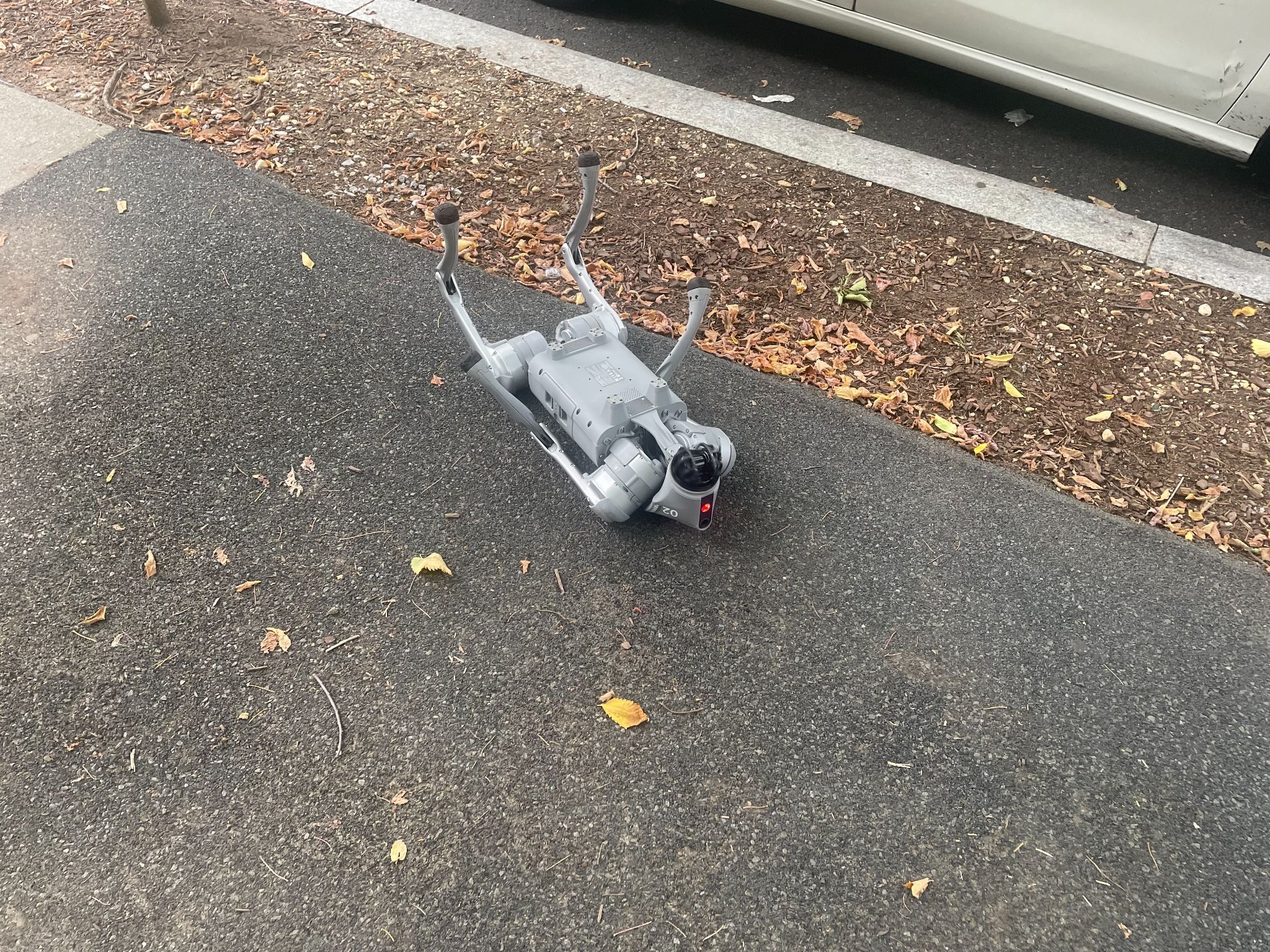 4.000 Dolarlık Çin Malı Robot Köpekle Bir Gün: Hem Eğlenceli Hem de Yetersiz