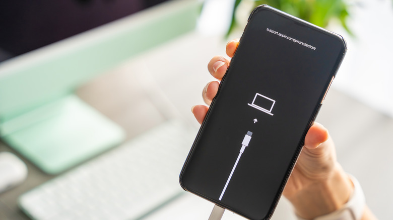 iOS Beta Kurmadan Önce Bu Kritik Adımı Atlamayın: Verilerinizi Kurtarın