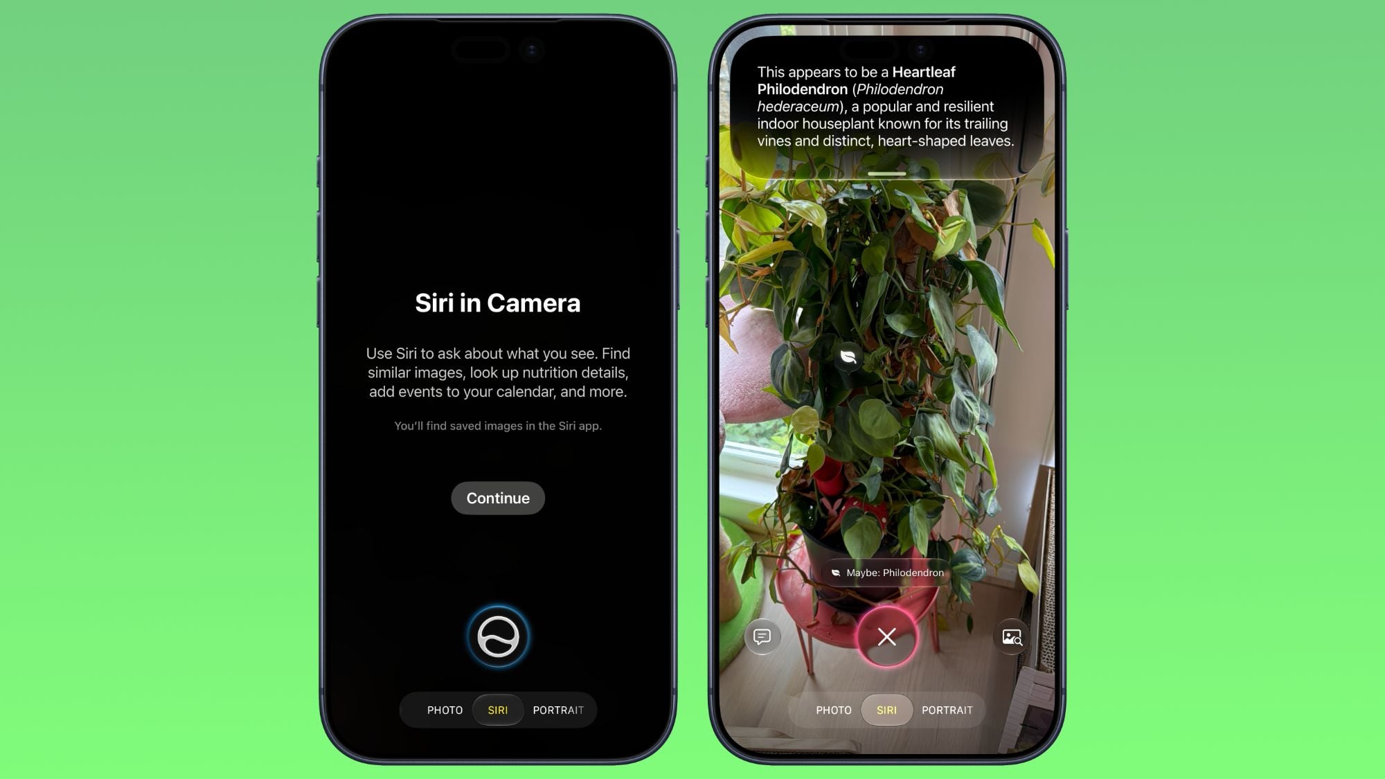 iOS 27'de Kamera Uygulamasına Siri Modu Geldi: Görsel Zeka Artık Cebinizde
