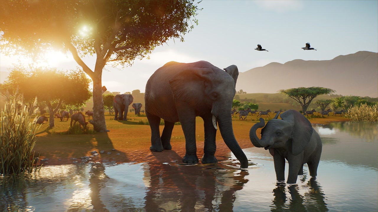 Planet Zoo 2 İnceleme: Vahşi Doğaya İlk Adım, Hayvanlarla İç İçe Bir Deneyim